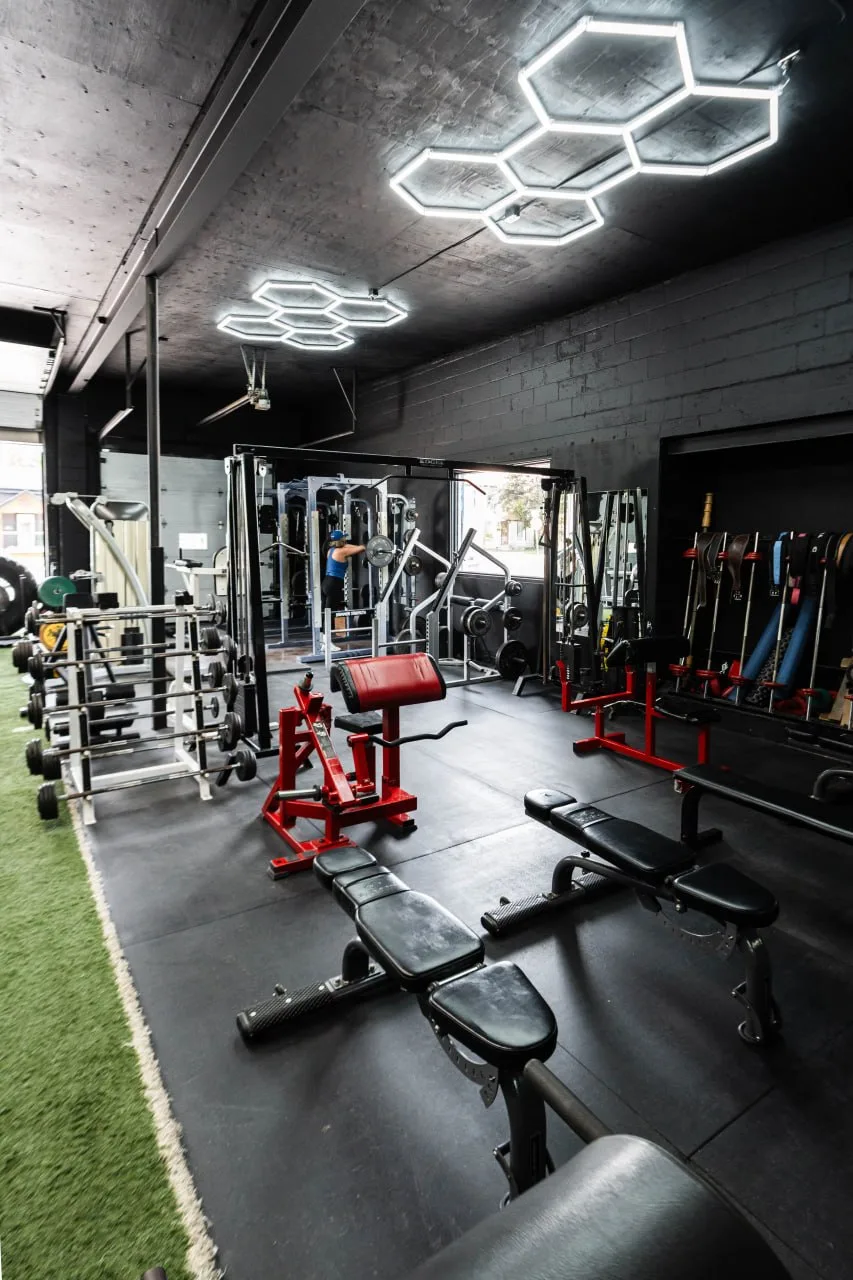 Benches, red curl machine and hex lights inside the gym